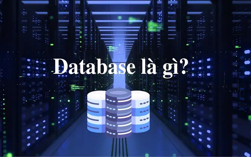 database là gì